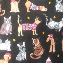 Christmas Refillable Catnip Blanket (approx 13”x 21”) Price for each blanket
